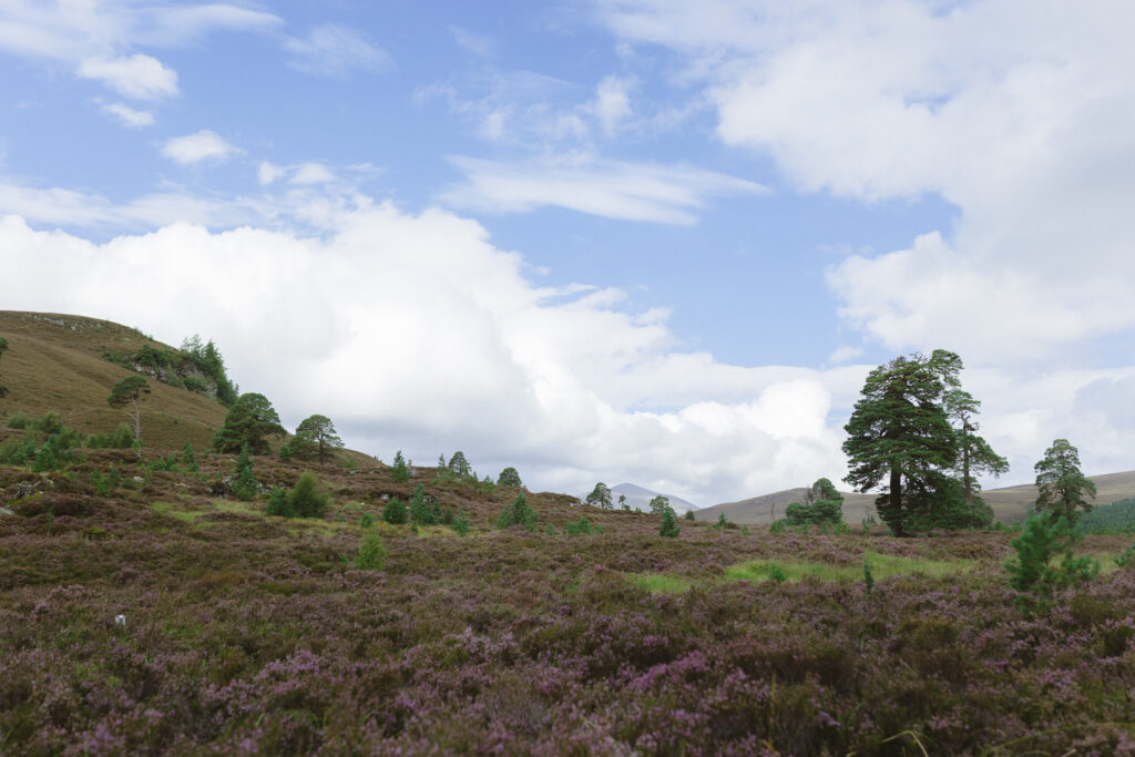 Romantic Scotland engagement shoot in the Cairngorms with dramatic skies