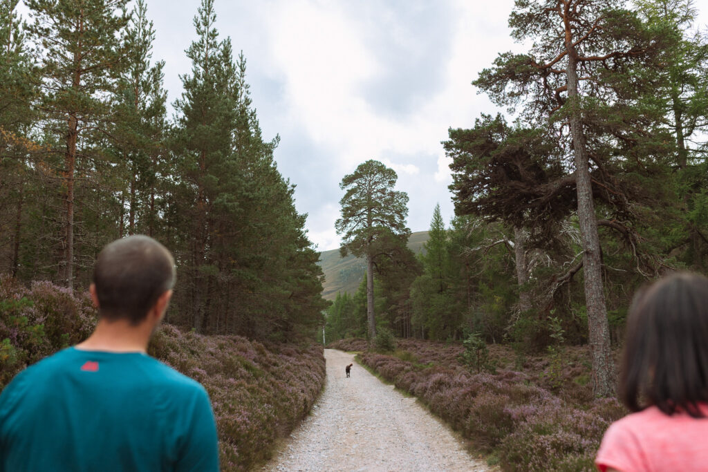 Dog running alongside couple on a mountain trail in the Scottish Highlands