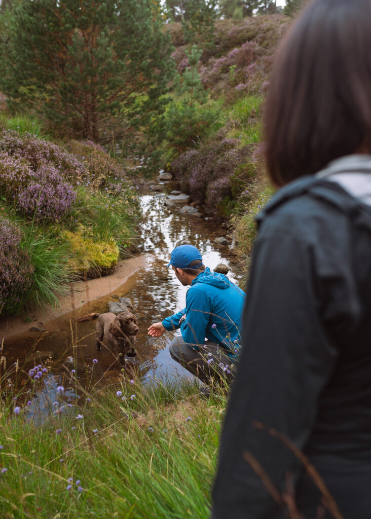 Cairngorms couples photoshoot on a mountain trail with dog and dramatic Highland landscape