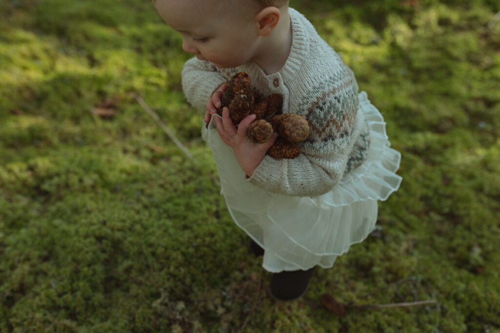 collecting pinecones in mossy cairngorm forest during family photoshoot scotland 